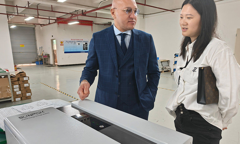 Ess Do użytku domowego System magazynowania energii słonecznej z akumulatorem Solar Micro Inverter